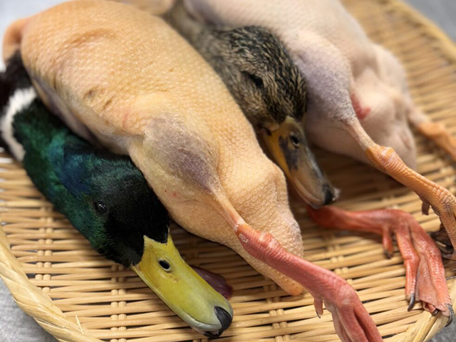 天然真鴨へのこだわり